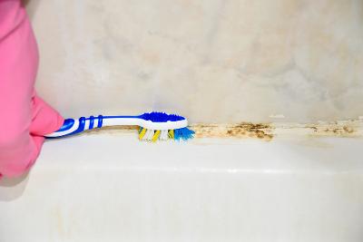 Comment traiter les moisissures dans la salle de bains?